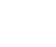 Crazy Wolf Studio