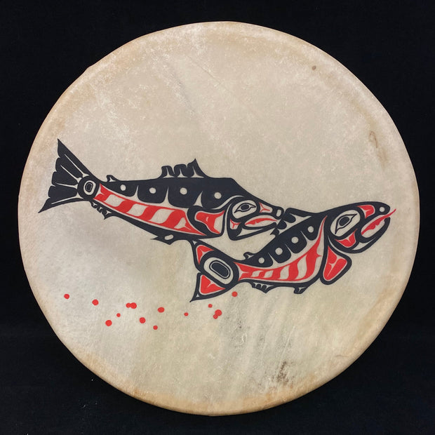 12" Spawning Salmon Drum