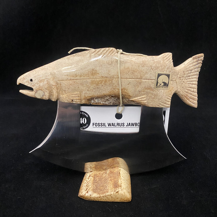 Fossil Walrus Jawbone Ulu - Salmon Body Handle