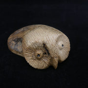 Fossil Walrus Jawbone Ulu - Owl Base